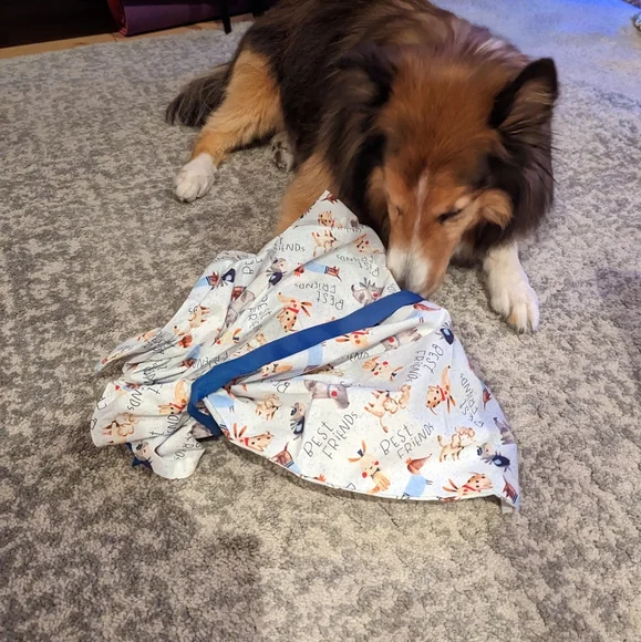 Reusable gift bag bundle - Picture 7 of 7